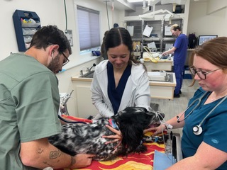 95065AA4-FD2C-43AA-96D0-9E38E7EC820F-IMG_7522