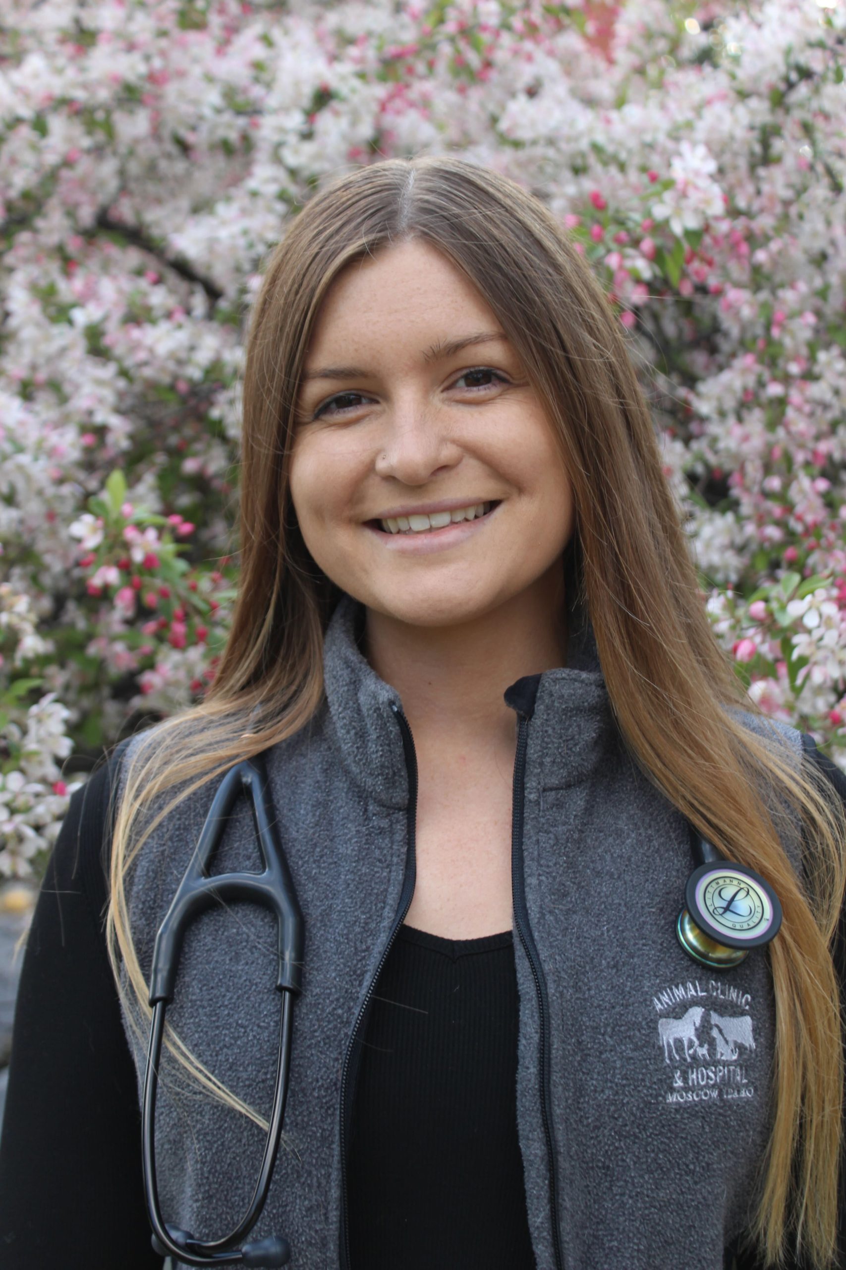 Dr. Kate Ingham performing acupuncture